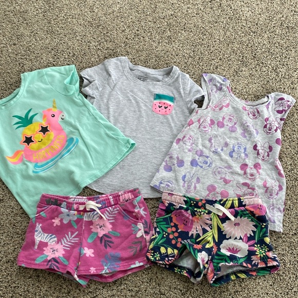 2t Girls lot- shorts and tops. Carter’s, Jumping Bean, Garanimals. - Picture 1 of 6